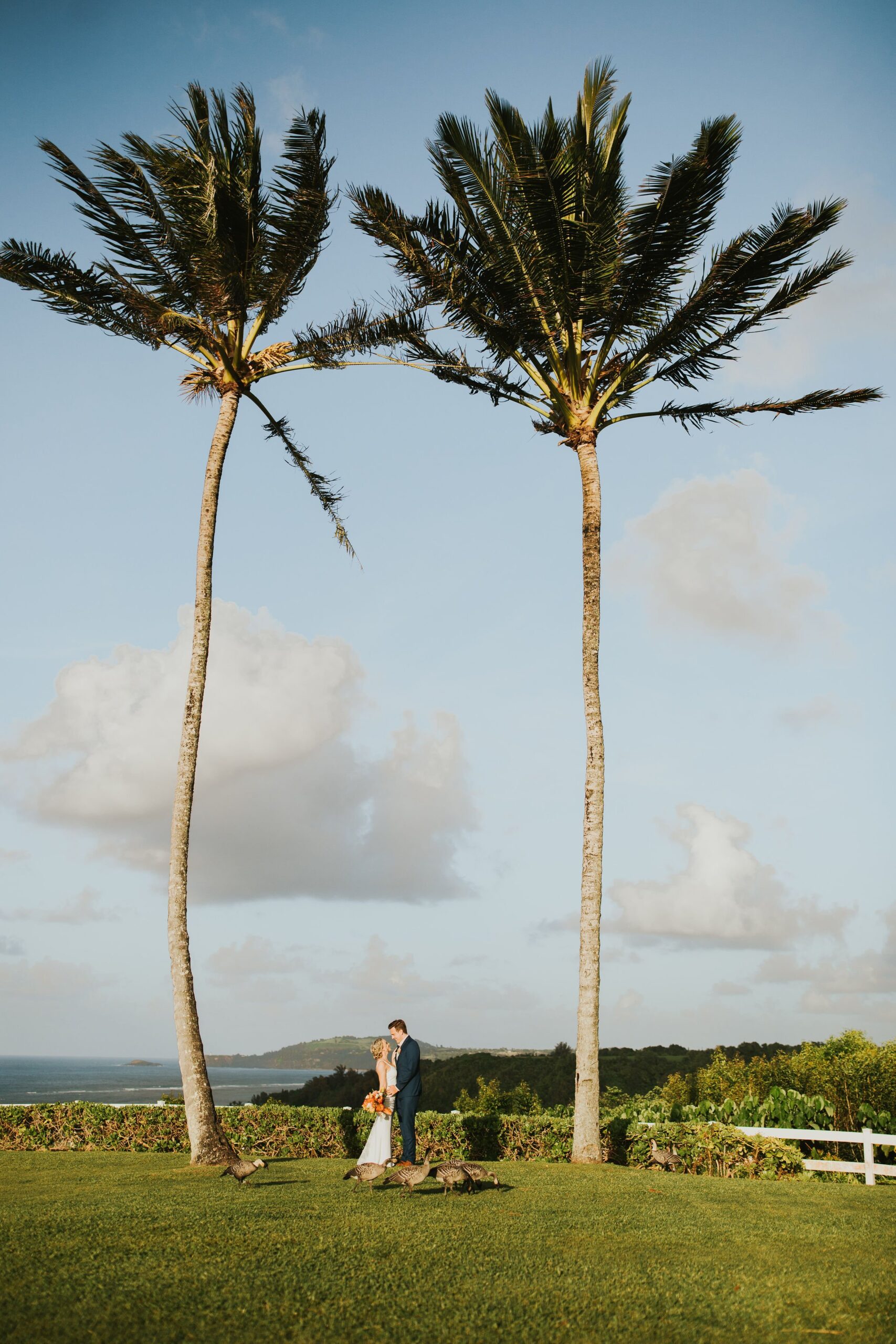Katie&Hayden-Kauai-Elopement-Photography-Princeville-Gallery-47.jpg